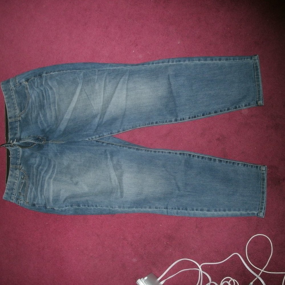 Lane Bryant Skinny Jeans